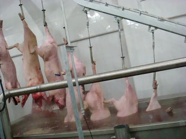 The advantages of slaughter machinery are becoming more and more obvious