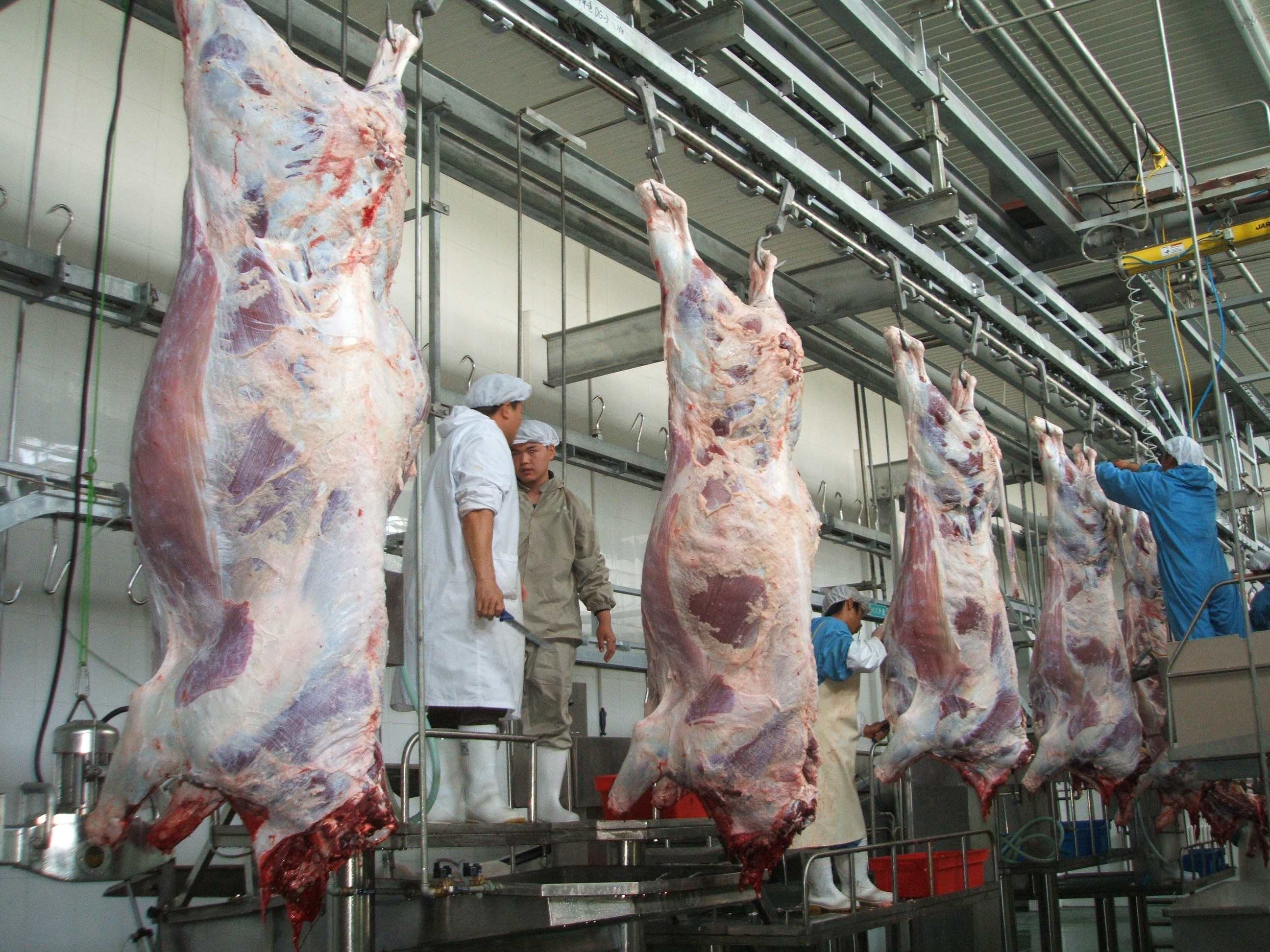 Precautions for safe production in slaughterhouse