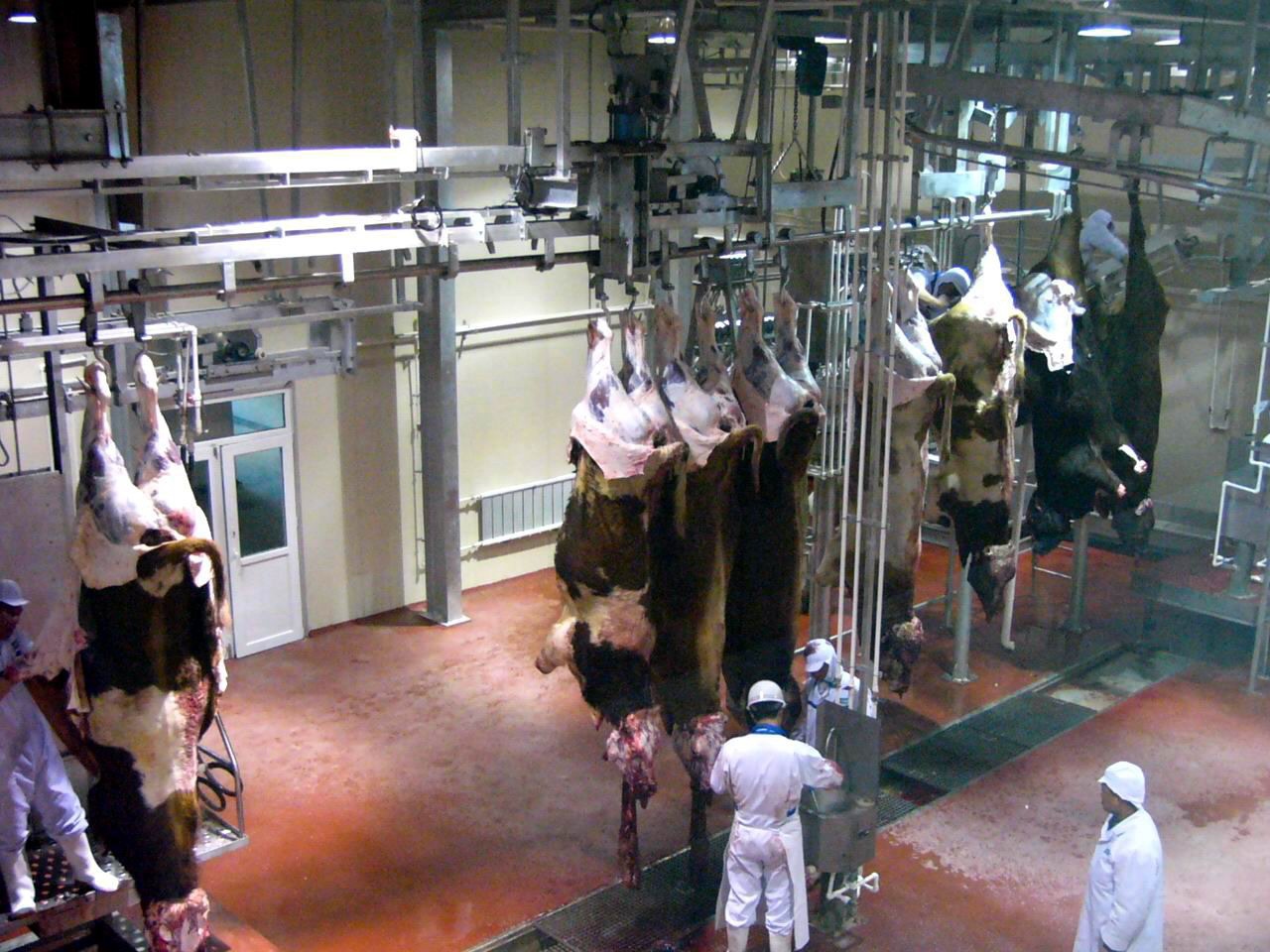 Matters needing attention in the operation of slaughter equipment